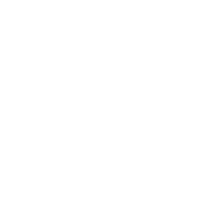 home security white icon