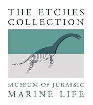Etches collection museum of jurassic marine life badge